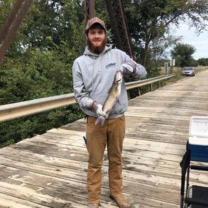 Meet your Posher, Alex